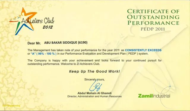 Outstanding Performance 2011